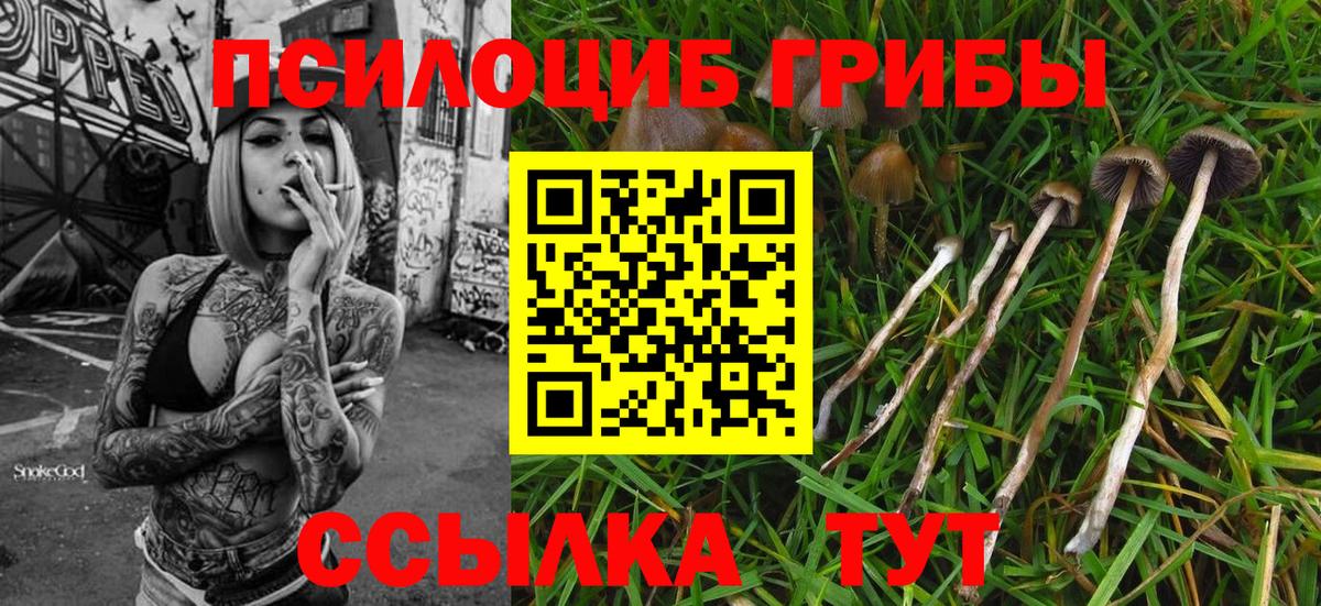 Галлюциногенные грибы MAGIC MUSHROOMS Мценск