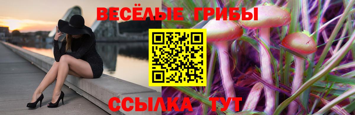 даркнет сайт  Вход с VPN  Мценск  Псилоцибиновые грибы Magic Shrooms 